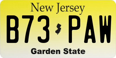 NJ license plate B73PAW