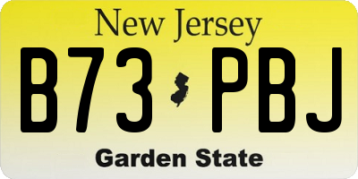 NJ license plate B73PBJ