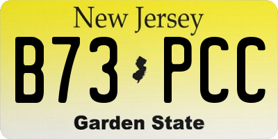 NJ license plate B73PCC