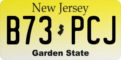 NJ license plate B73PCJ