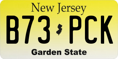 NJ license plate B73PCK
