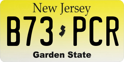 NJ license plate B73PCR