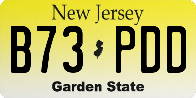 NJ license plate B73PDD