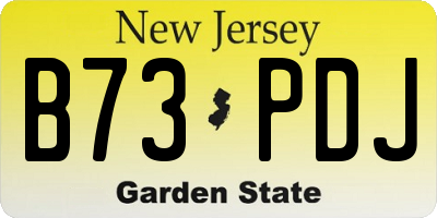 NJ license plate B73PDJ