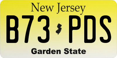 NJ license plate B73PDS