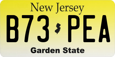 NJ license plate B73PEA