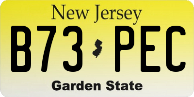 NJ license plate B73PEC