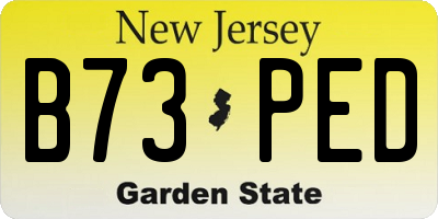 NJ license plate B73PED