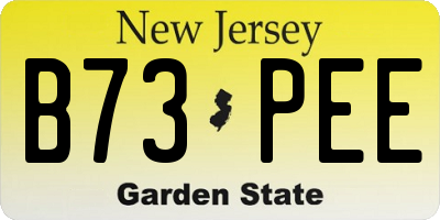 NJ license plate B73PEE