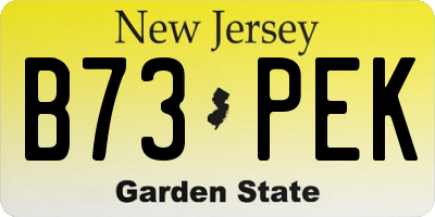 NJ license plate B73PEK