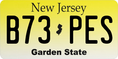 NJ license plate B73PES