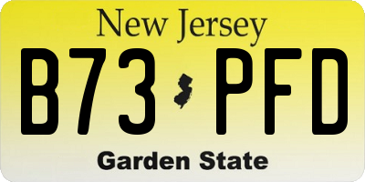 NJ license plate B73PFD