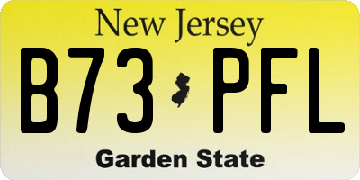 NJ license plate B73PFL