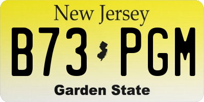 NJ license plate B73PGM