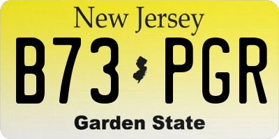 NJ license plate B73PGR