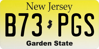 NJ license plate B73PGS