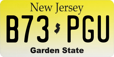 NJ license plate B73PGU