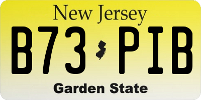 NJ license plate B73PIB