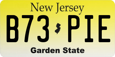 NJ license plate B73PIE