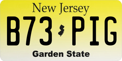 NJ license plate B73PIG