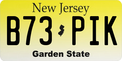 NJ license plate B73PIK