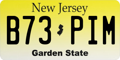 NJ license plate B73PIM