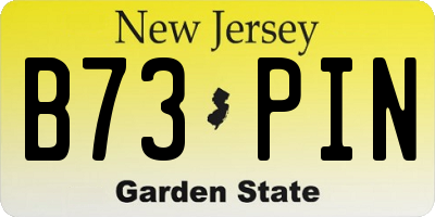 NJ license plate B73PIN