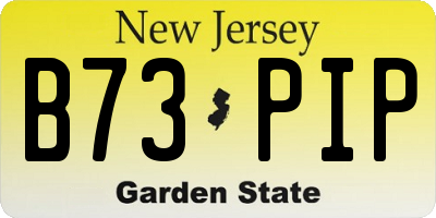 NJ license plate B73PIP