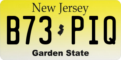 NJ license plate B73PIQ
