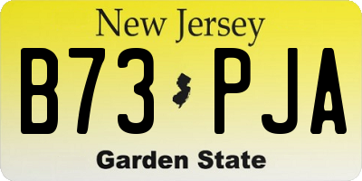 NJ license plate B73PJA