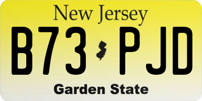 NJ license plate B73PJD