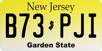 NJ license plate B73PJI