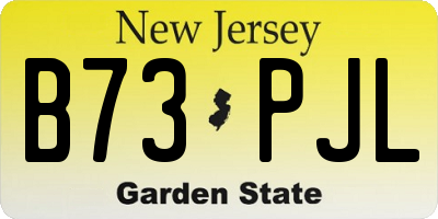 NJ license plate B73PJL