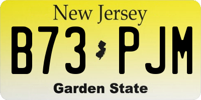 NJ license plate B73PJM