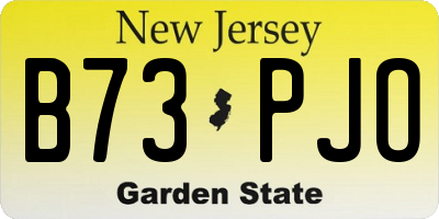 NJ license plate B73PJO