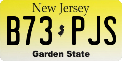 NJ license plate B73PJS