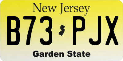 NJ license plate B73PJX