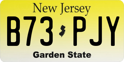 NJ license plate B73PJY