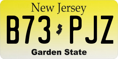NJ license plate B73PJZ