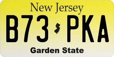 NJ license plate B73PKA