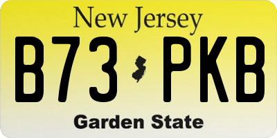 NJ license plate B73PKB
