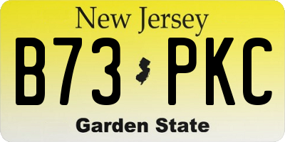 NJ license plate B73PKC
