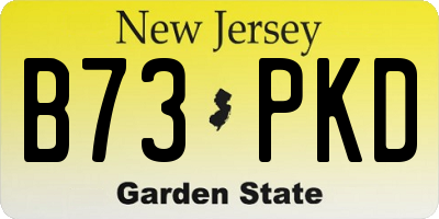 NJ license plate B73PKD