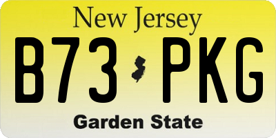 NJ license plate B73PKG