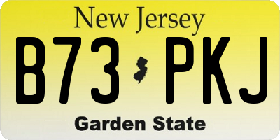 NJ license plate B73PKJ
