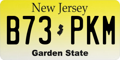 NJ license plate B73PKM