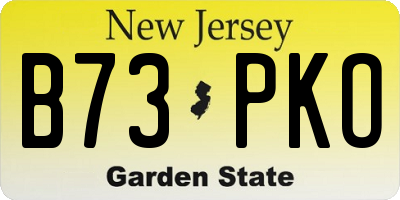 NJ license plate B73PKO