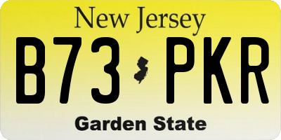 NJ license plate B73PKR