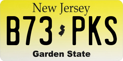 NJ license plate B73PKS