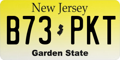 NJ license plate B73PKT
